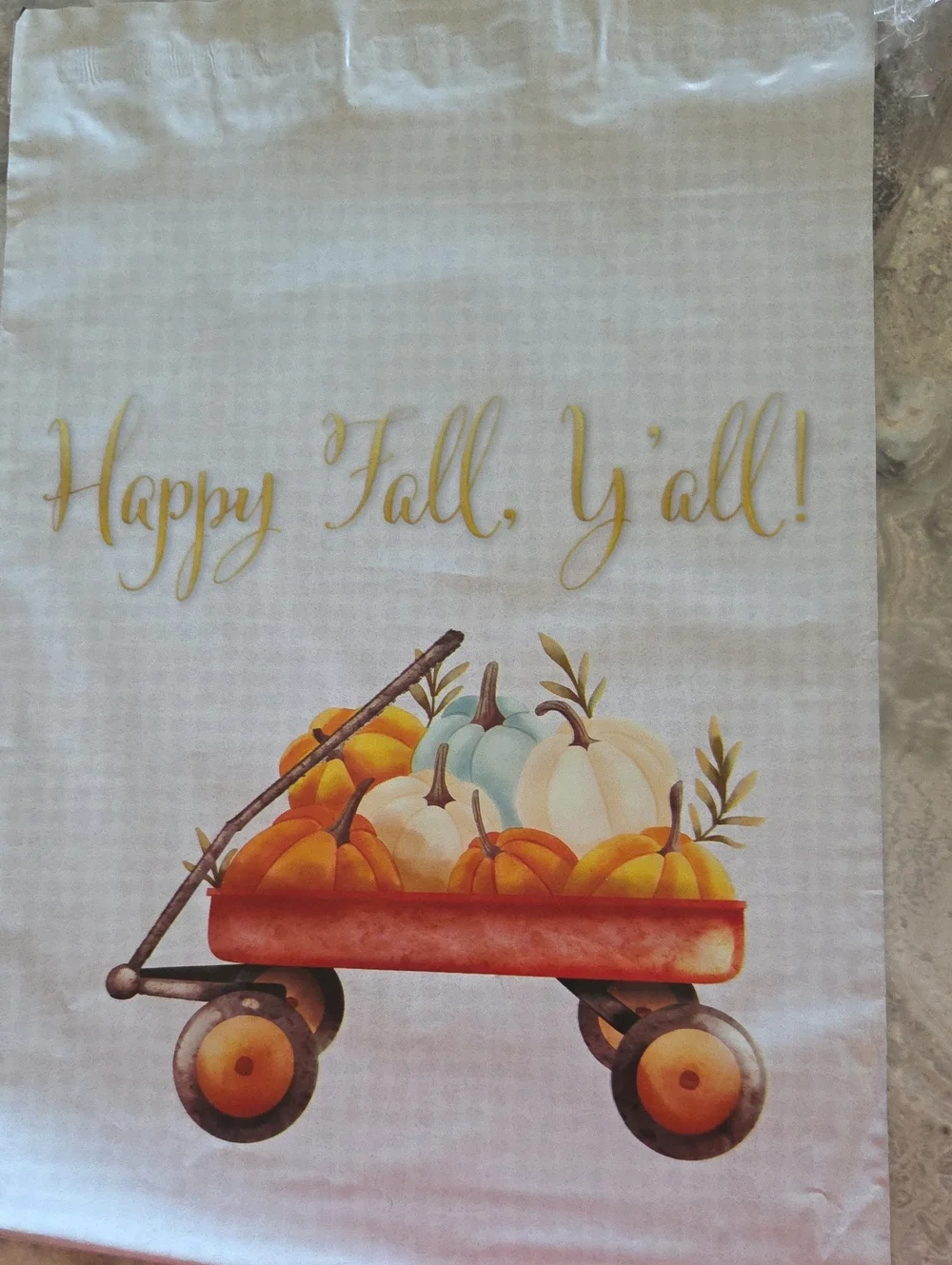10x13 Poly Mailers Happy Fall, Ya'll set of 30